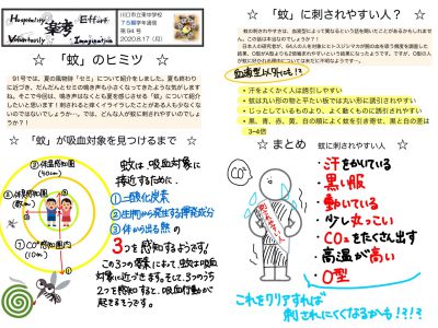 ８月１７日(月):２学年「蚊」のヒミツ