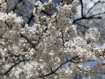 令和７年度もよろしくお願いします。